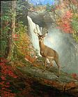 Stag Canvas Paintings - Majestic Stag